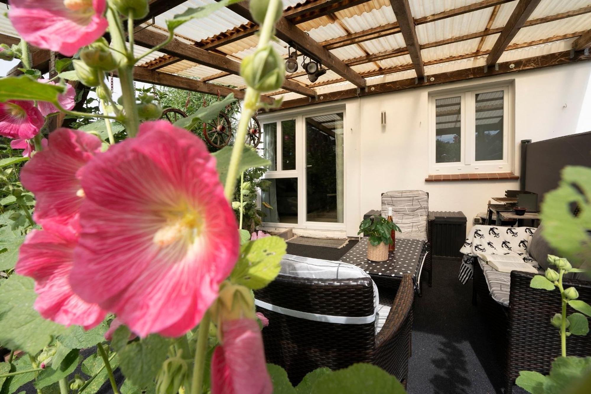 Apartamento Haus Waldfrieden Ferienhaeuschen Waldfrieden Haffkrug Exterior foto